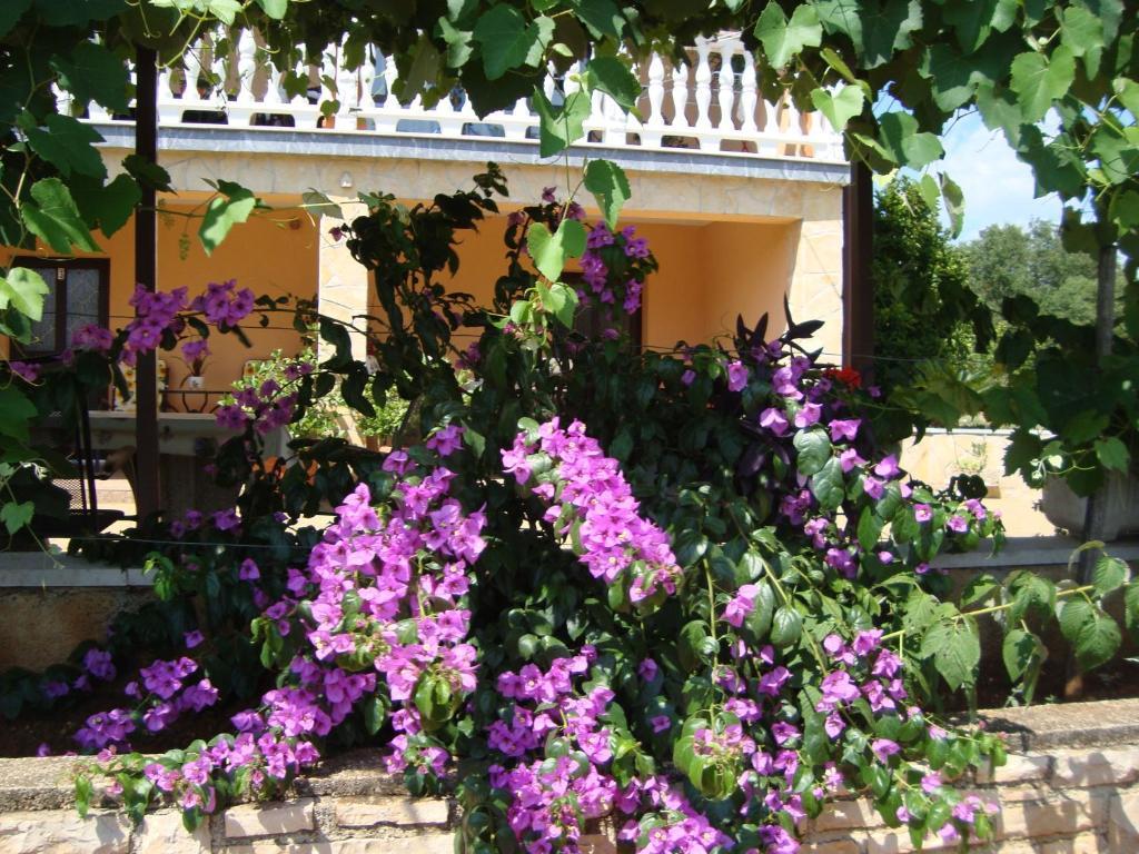 Apartments Alice Green Oasis - Porec Ruang foto
